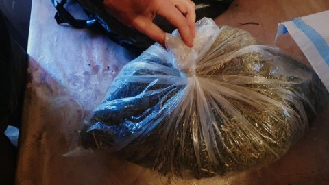 3 kiloqram qurudulmuş marixuana götürüldü