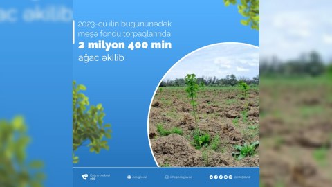 Bu il  2 milyon 400 min ağac əkilib