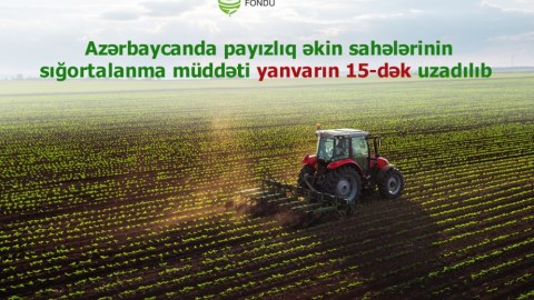 Payızlıq əkinlərin sığortalanma müddəti yanvarın 15-dək uzadıldı