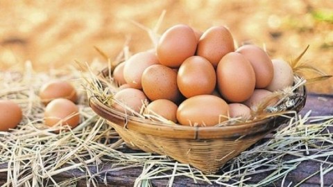Ölkəmizdə yumurta bahalaşıb? - Rəsmi AÇIQLAMA