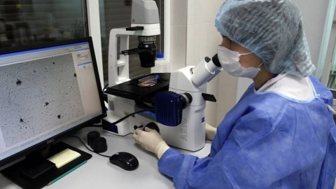 Alimlər immuniteti gücləndirən virus aşkarladılar