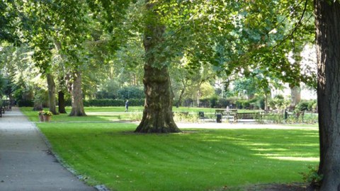 Ağdamda 5 hektarlıq mərkəzi park salınacaq