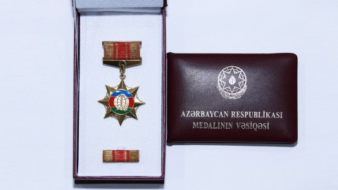 Təltif olunan diaspor fəalları Prezidentə təşəkkür etdilər - FOTO