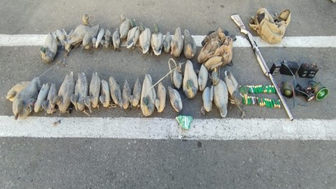 İmişlidə ov edən şəxs saxlanıldı