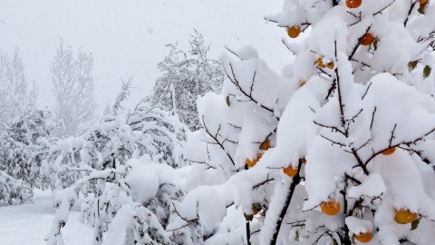 Hava ilə bağlı xəbərdarlıq: Qar yağacaq, külək əsəcək