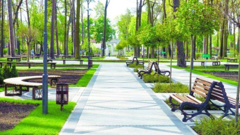 Yeni Nəbatat Parkı yaradılacaq