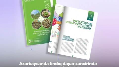 Fındıq dəyər zəncirində yaşıl enerji imkanları ilə bağlı hesabat dərc edilib