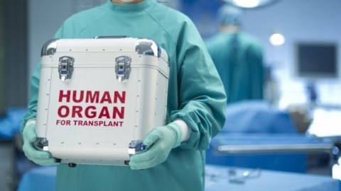 Orqanların bağışlanması ilə bağlı razılıq ərizəsinin forması təsdiqləndi