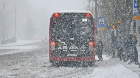 Yollar təmizlənir, avtobuslar xəttə buraxılır - AYNA