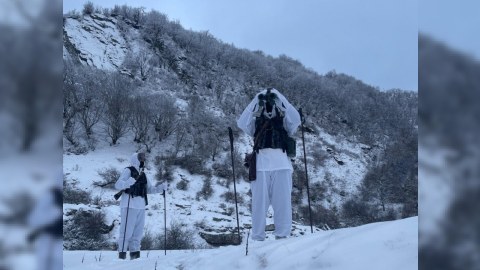 Bəyaz zirvələrin ayıq-sayıq keşikçiləri - FOTOLAR