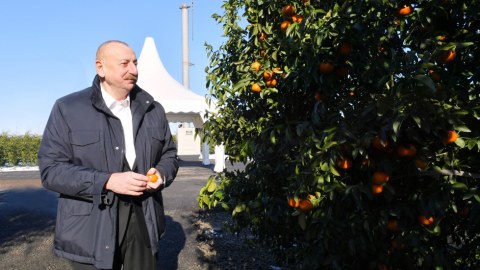 İlham Əliyev Lənkəranın Separadi kəndində - FOTOLAR