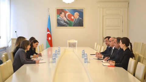 Dövlət Komitəsində xarici qonaqlarla görüş keçirildi - FOTO