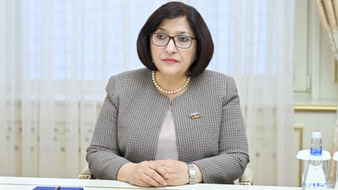 Senatın qətnaməsi ikiüzlülüyün bariz nümunəsidir - SPİKER