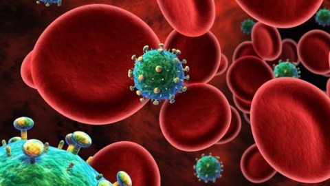 Hepatit A virusu və ondan qorunma yolları