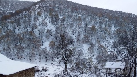 Rayonlara qar yağır, 8 dərəcə şaxta var - Faktiki hava