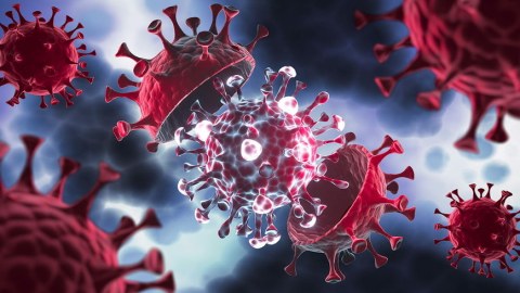 Hazırda Azərbaycanda yayılan qripəbənzər virus qorxuludurmu...