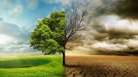 COP29: İqlim dəyişikliyi ilə mübarizədə Azərbaycan modeli