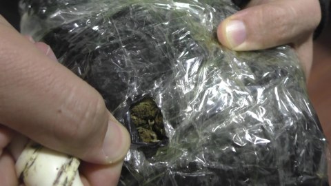 Narkotiklə tutulan keçmiş məhkumun başqa cinayətləri üzə çıxdı