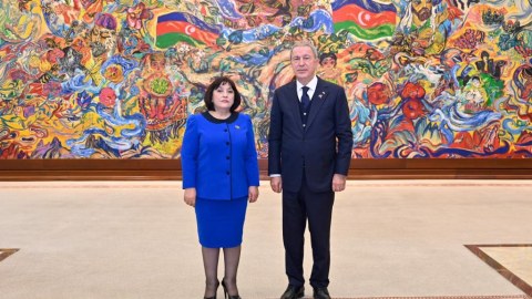 Sahibə Qafarova Hulusi Akarla nələri müzakirə etdi... - FOTO