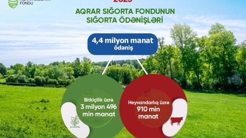 Ötən il sığortalı təsərrüfatlara rekord məbləğdə ödəniş edilib