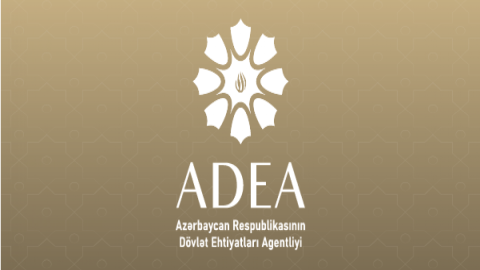 Dövlət Agentliyinin fəaliyyət istiqamətləri genişləndirildi