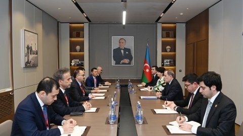 Nazir TÜRKPA Müşahidə Missiyasının rəhbərini qəbul etdi
