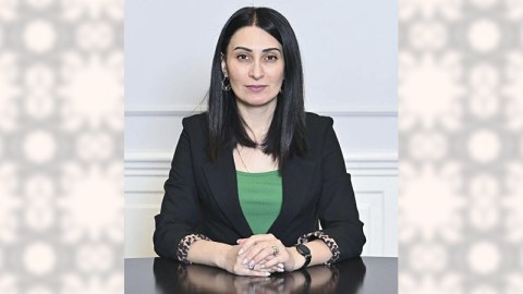 İdeya ver, qrant qazan