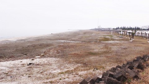 Bulvarla dəniz arasında quru sahə yaranıb, bitkilər əmələ gəlib - FOTO