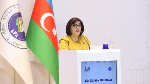 Sahibə Qafarovadan Ermənistana çağırış: Konstitusiyanı dəyişin!