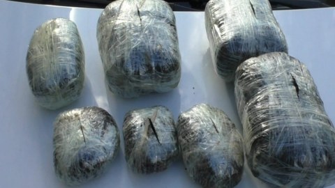 Bakı sakini Cəlilabadda 12 kiloqram narkotiklə tutuldu