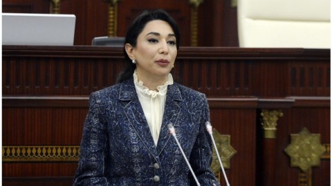 Parlamentdə ombudsmanın 2023-cü il üzrə məruzəsi müzakirə edilir