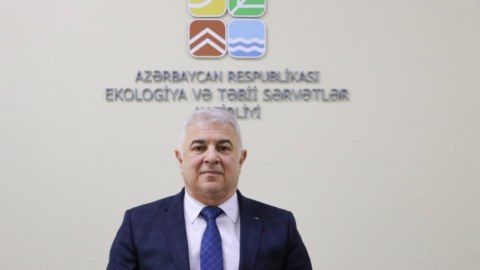 COP29-un nəticələri ölkəmiz üçün müsbət olacaq - Nazir müavini