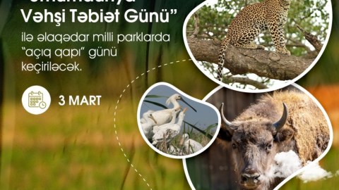 3 mart “Ümumdünya Vəhşi Təbiət Günü”dür