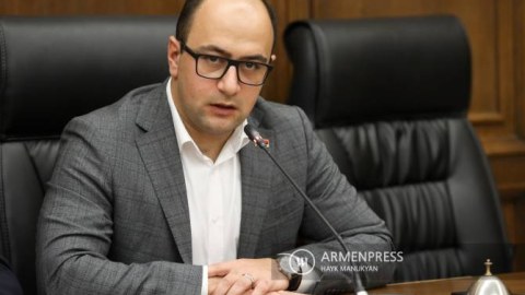 Rusların aeroportdan çıxarılması çirkin manipulyasiyadır - Mamicanyan