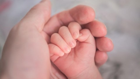 Havanın çirklənməsi yarım milyon körpənin ölümünə səbəb olur