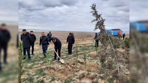 Hacıqabulda 1000-dən çox ağac əkildi - FOTO