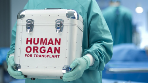 Meyit donordan orqan götürülməsi mümkün olacaq? - VİDEO