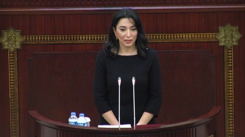 Milli Məclis Ombudsmanın məruzəsini qəbul etdi