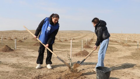 İki qurum birgə ağacəkmə aksiyası keçirib - FOTO