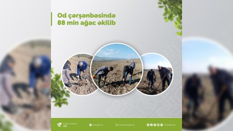 Od çərşənbəsində 88 min ağac əkilib