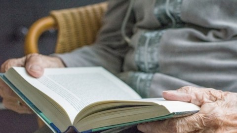 Təhsilli insanlar daha yavaş qocalırlar - Tədqiqatçılar