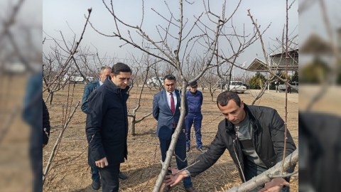 Aqrar Sığorta Fondunun sədri Şəmkirdə fermerlərlə görüşüb - FOTO