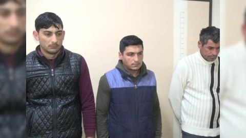 Bərdədə mal-qara oğurlayan dəstə ələ keçdi
