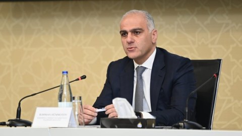 Problemlərin həlli üçün dövlətin də yaxın dəstəyinə ehtiyac var - Nazir müavini