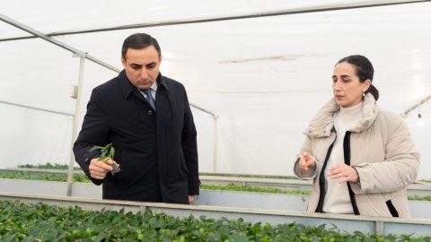 Nazir müavini Qubada təsərrüfatlara baxış keçirib - FOTO
