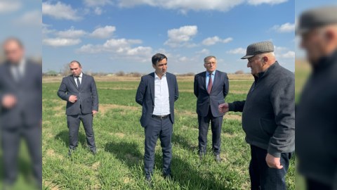 Agentlik rəhbəri vətəndaşların müraciətlərini dinlədi