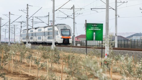 “Yaşıl dünya naminə həmrəylik ili” çərçivəsində ağacəkmə aksiyası - FOTO