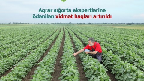 Aqrar sığorta ekspertlərinə ödənilən xidmət haqları artırılıb