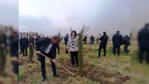 Goranboyda ağacəkmə aksiyası - FOTOLAR
