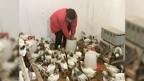 Zəngilanda qadın fermerlərə dəstək - FOTO